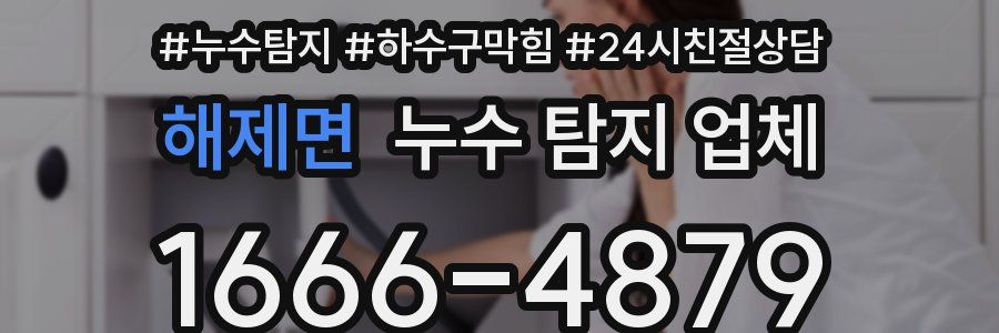 해제면 누수 탐지 업체