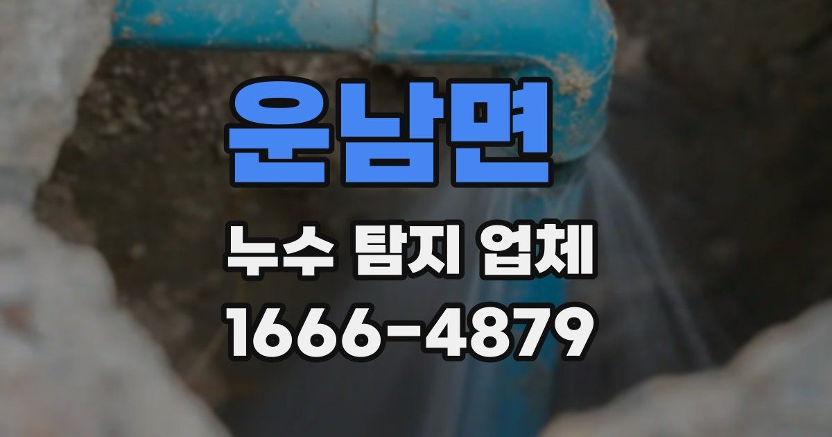 운남면 누수 탐지 업체