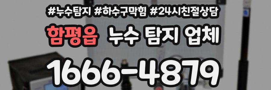 함평읍 누수 탐지 업체