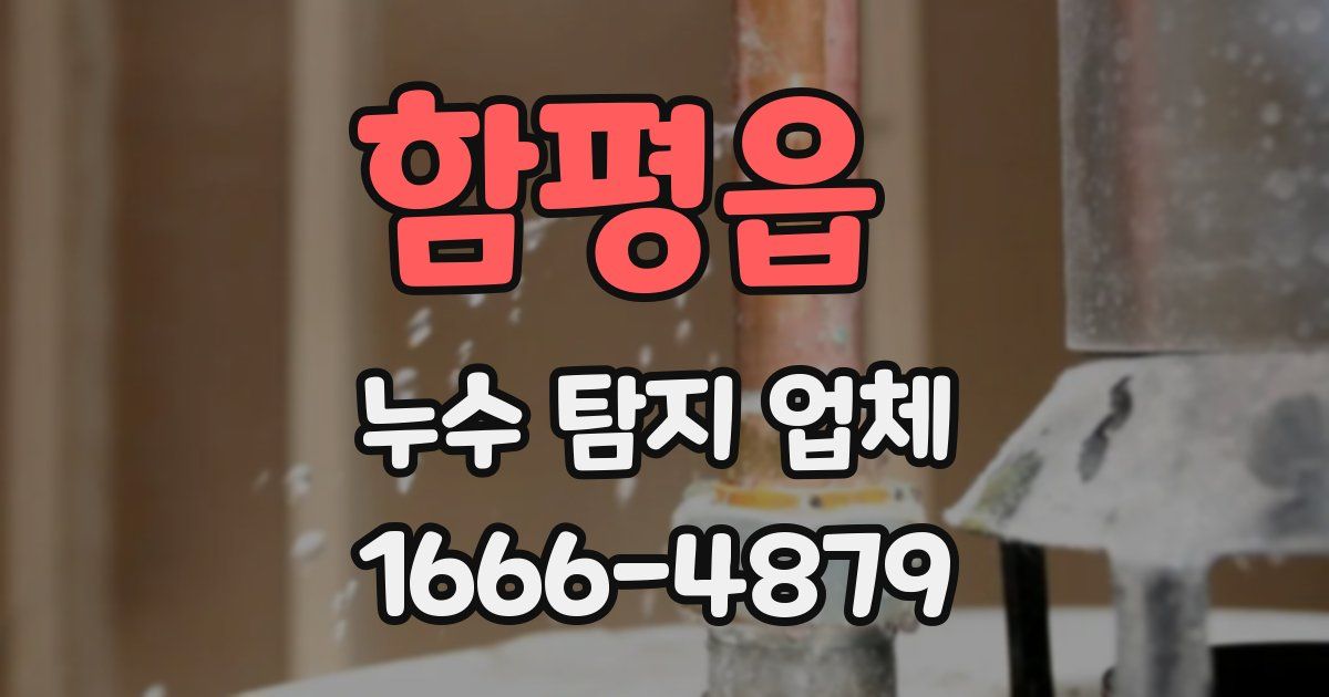 함평읍 누수 탐지 업체