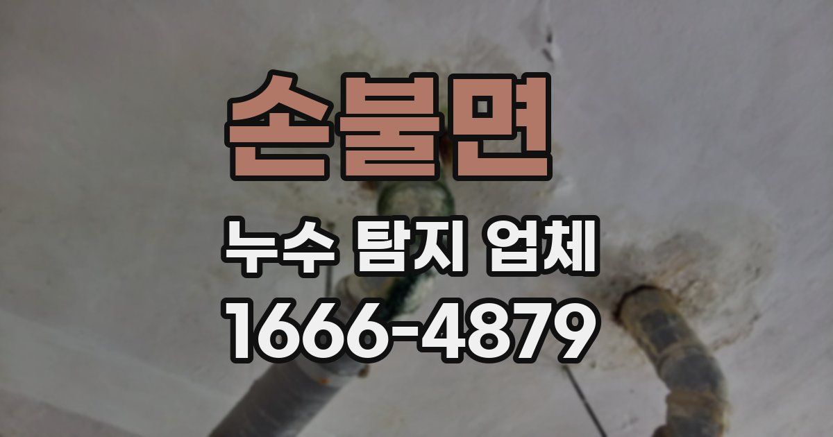 손불면 누수 탐지 업체