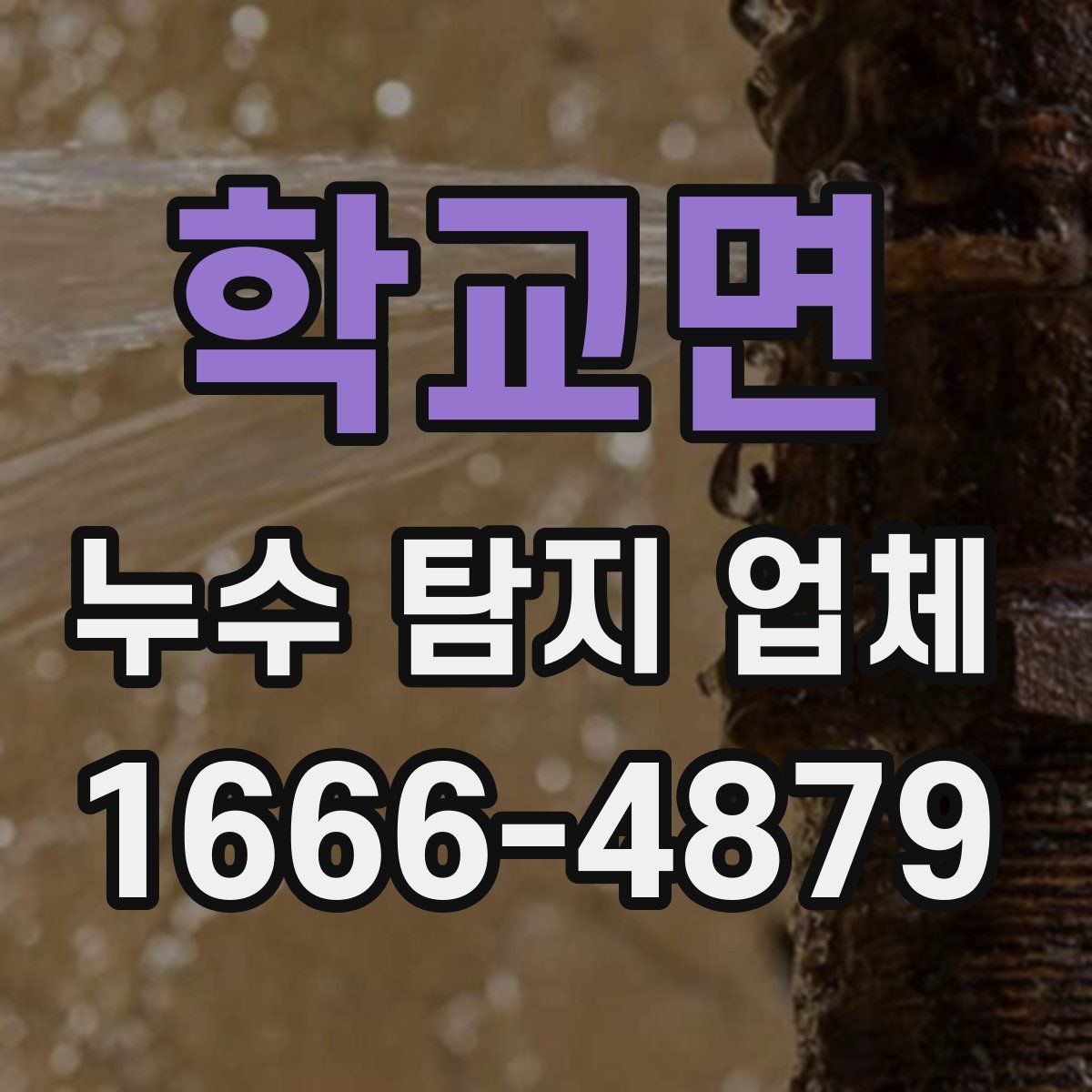 학교면 누수 탐지 업체