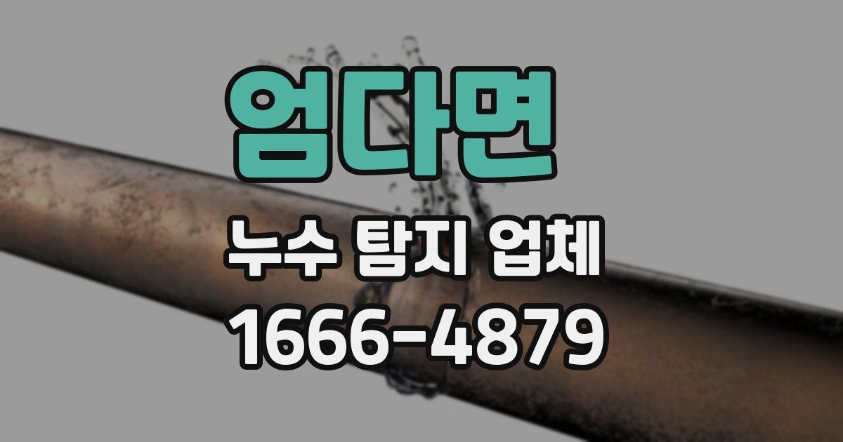 엄다면 누수 탐지 업체
