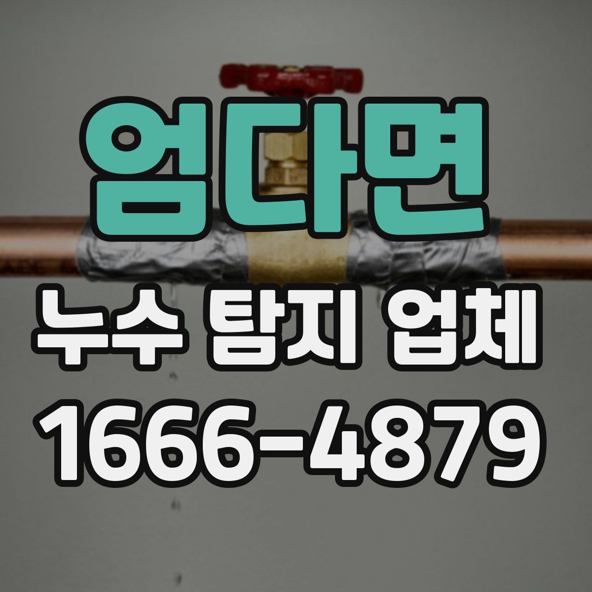 엄다면 누수 탐지 업체
