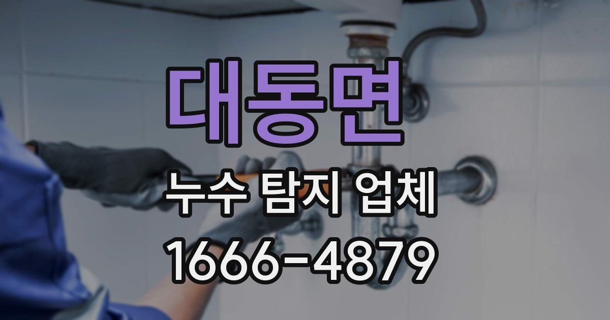 대동면 누수 탐지 업체