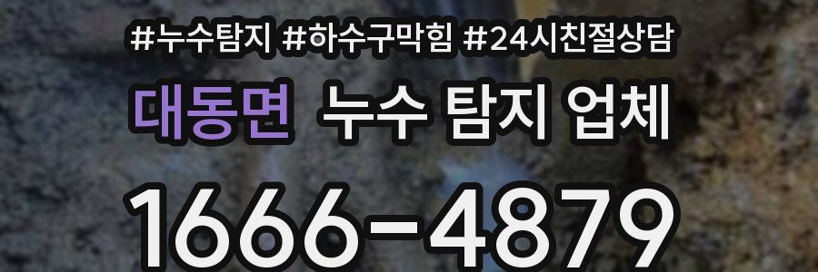 대동면 누수 탐지 업체