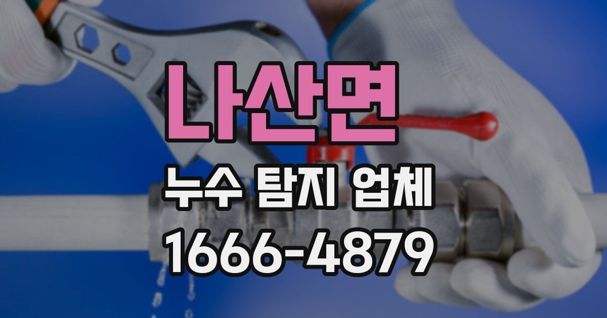 나산면 누수 탐지 업체