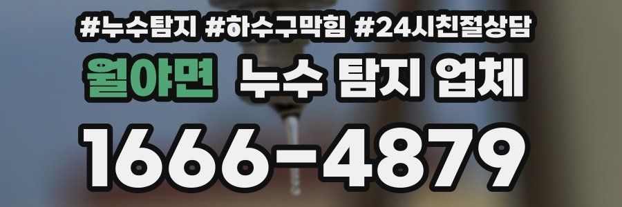 월야면 누수 탐지 업체