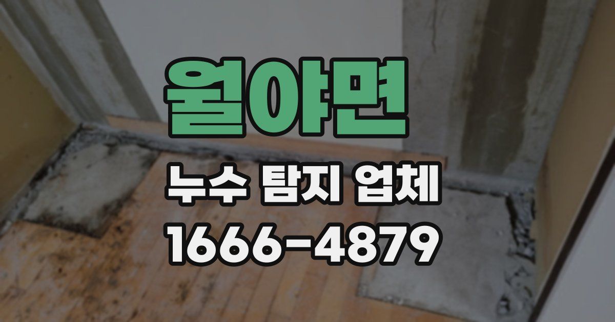 월야면 누수 탐지 업체