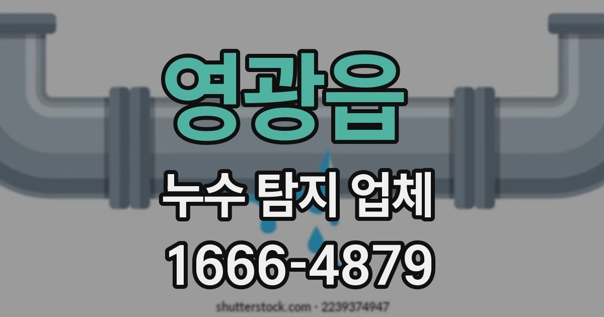 영광읍 누수 탐지 업체