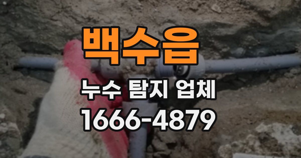 백수읍 누수 탐지 업체