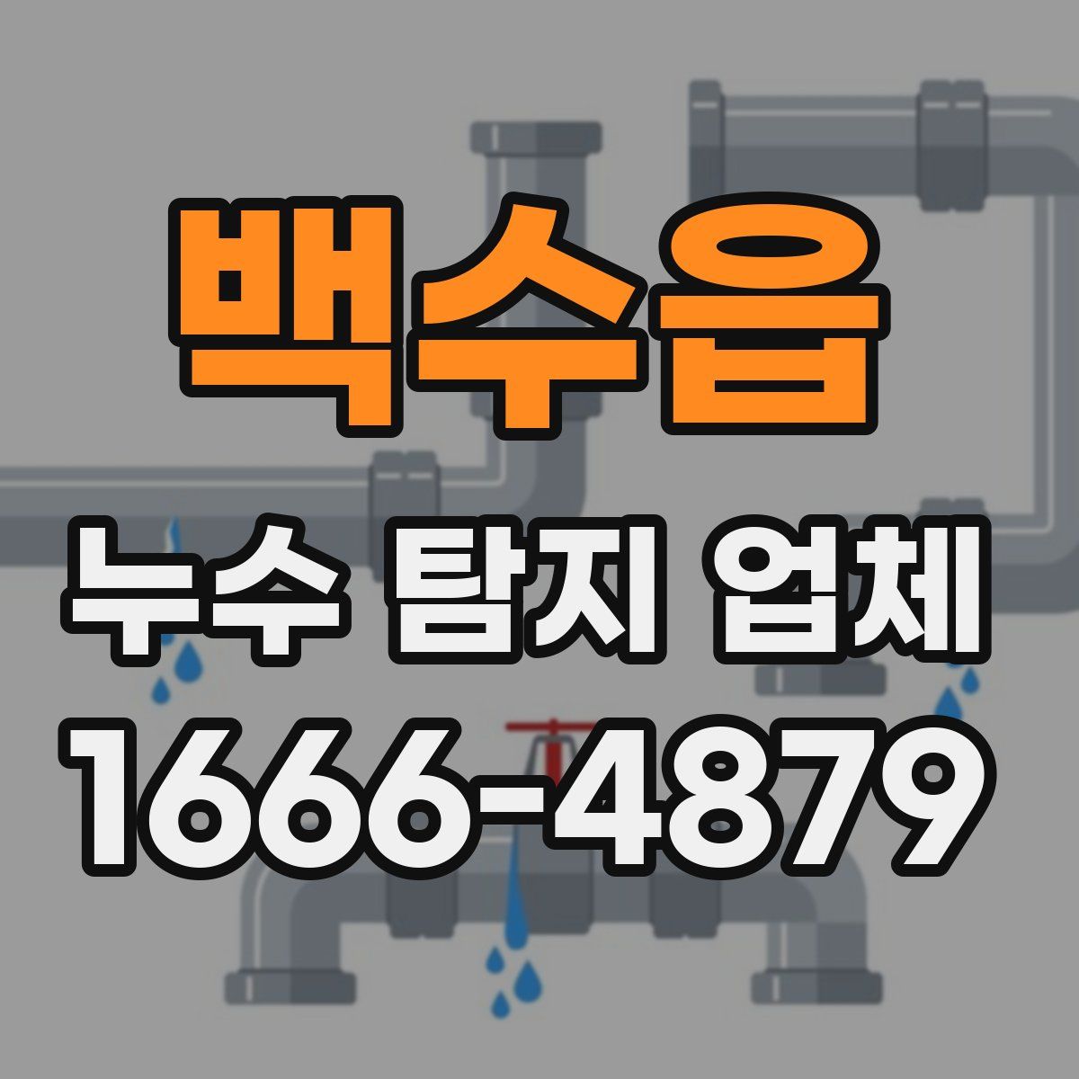 백수읍 누수 탐지 업체