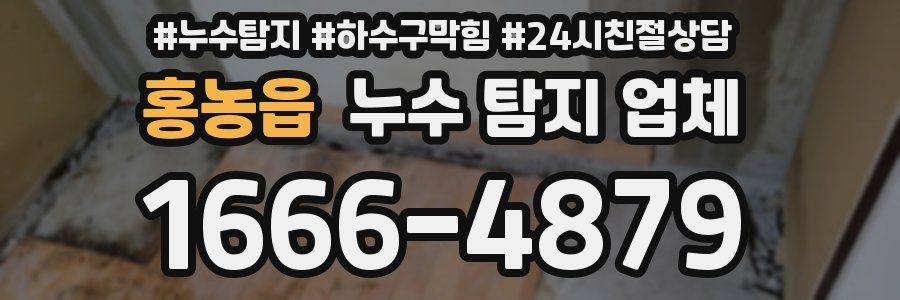 홍농읍 누수 탐지 업체