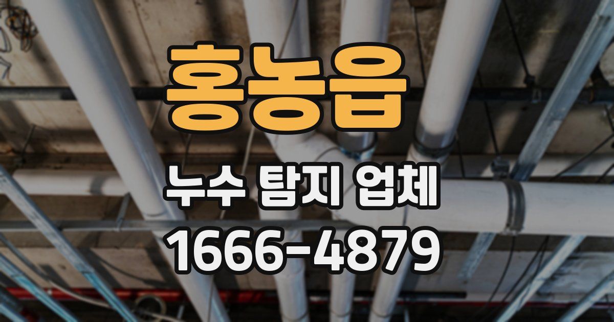 홍농읍 누수 탐지 업체
