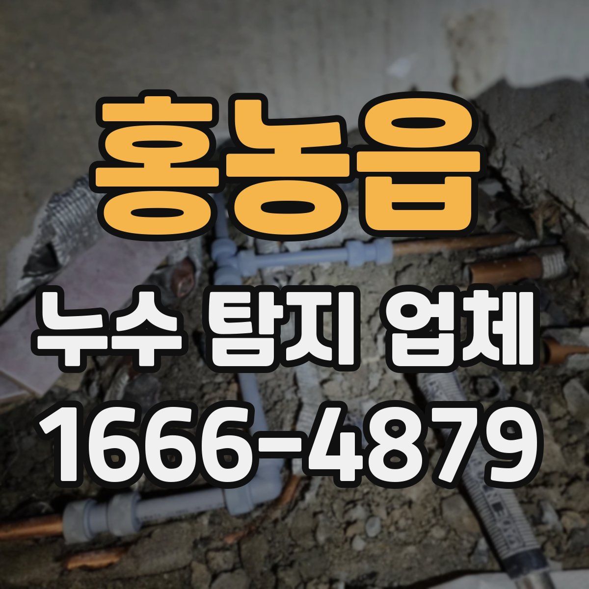 홍농읍 누수 탐지 업체