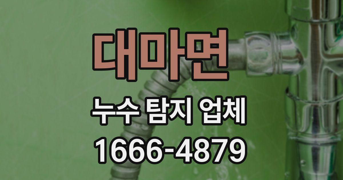 대마면 누수 탐지 업체