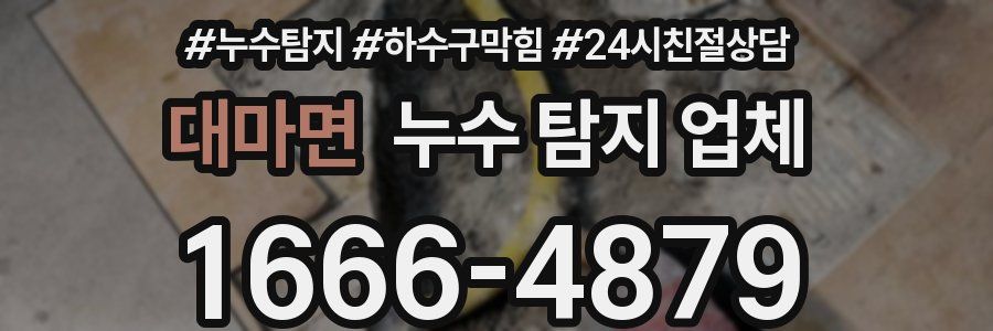 대마면 누수 탐지 업체