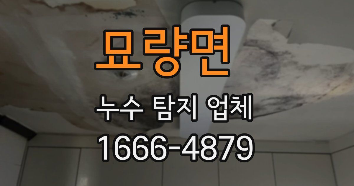 묘량면 누수 탐지 업체