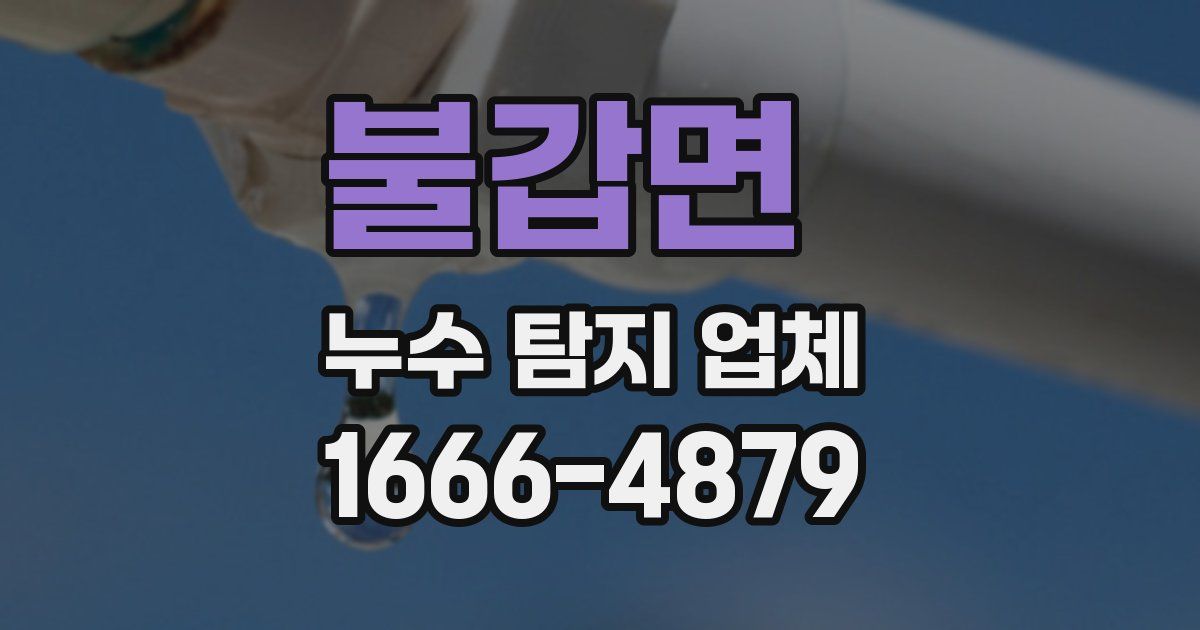 불갑면 누수 탐지 업체