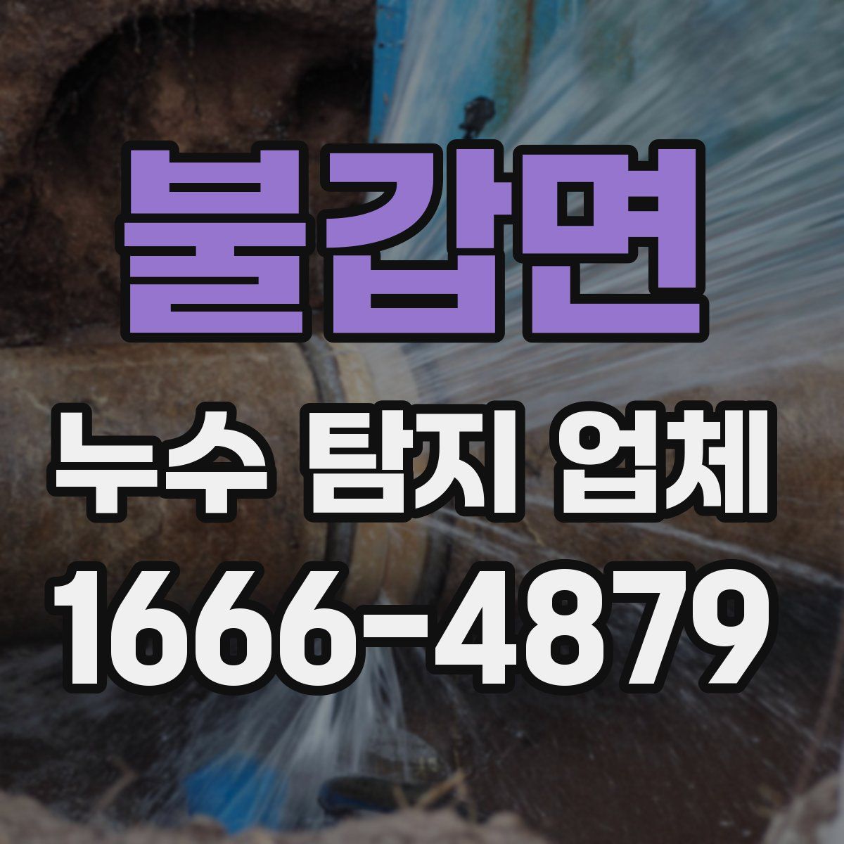 불갑면 누수 탐지 업체