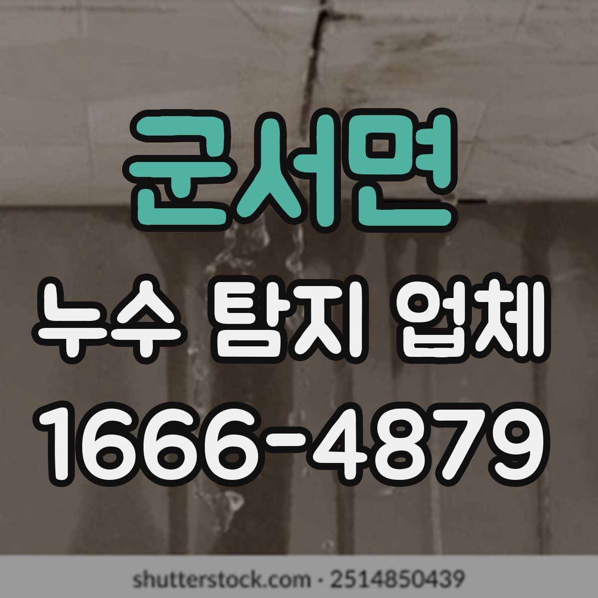 군서면 누수 탐지 업체