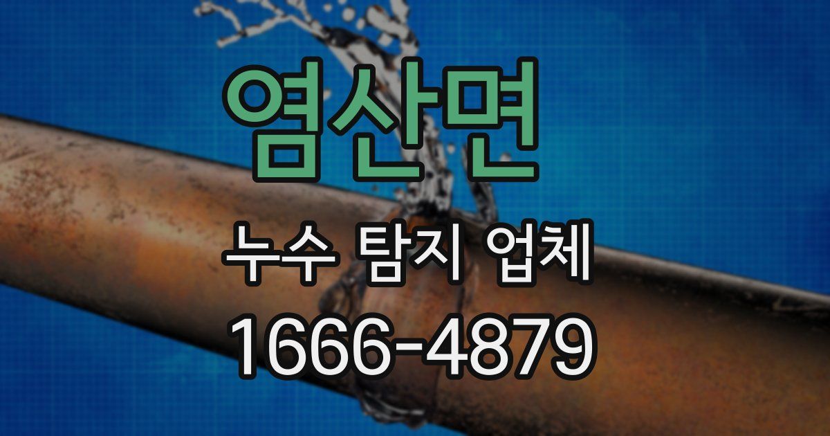 염산면 누수 탐지 업체