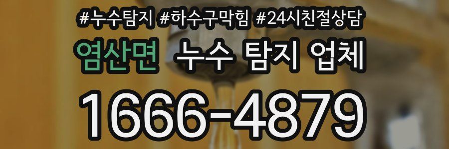 염산면 누수 탐지 업체
