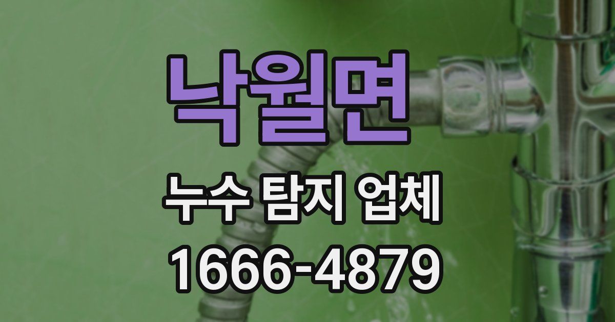 낙월면 누수 탐지 업체