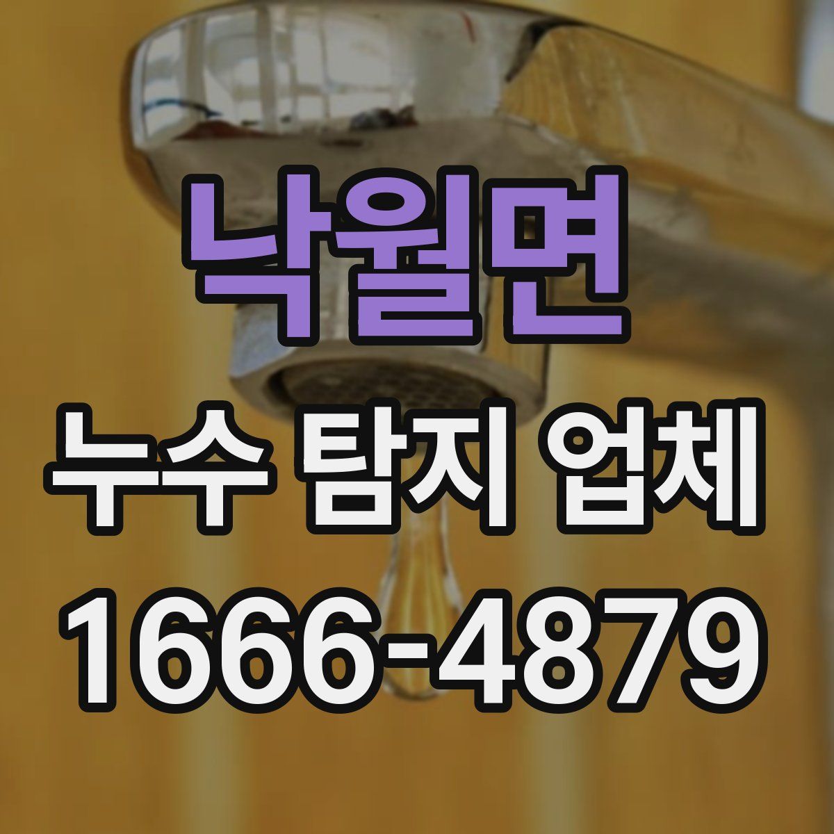 낙월면 누수 탐지 업체