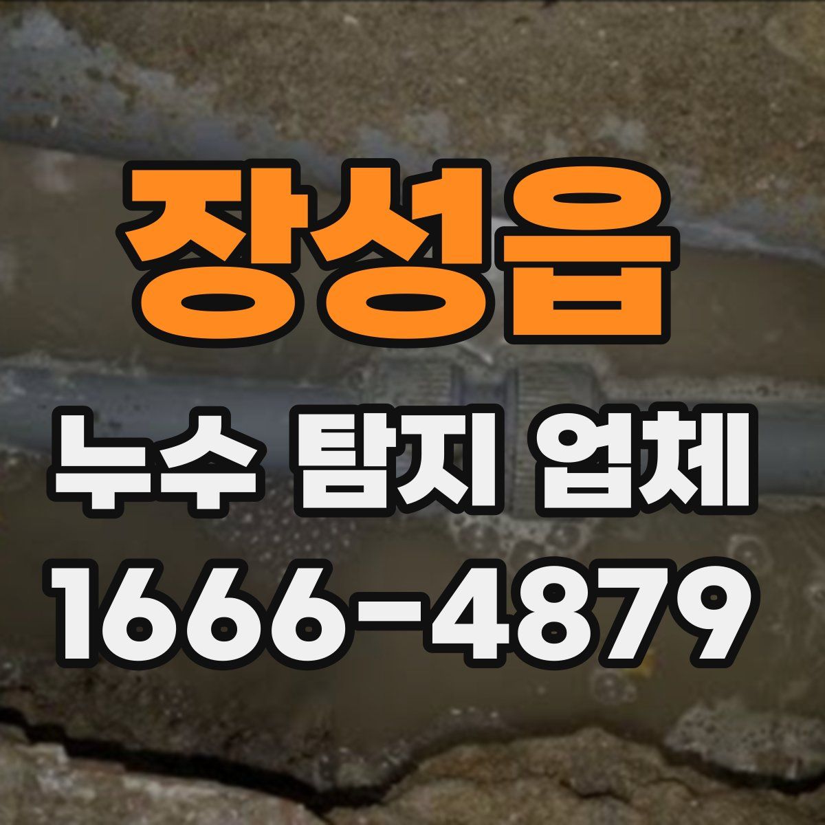 장성읍 누수 탐지 업체