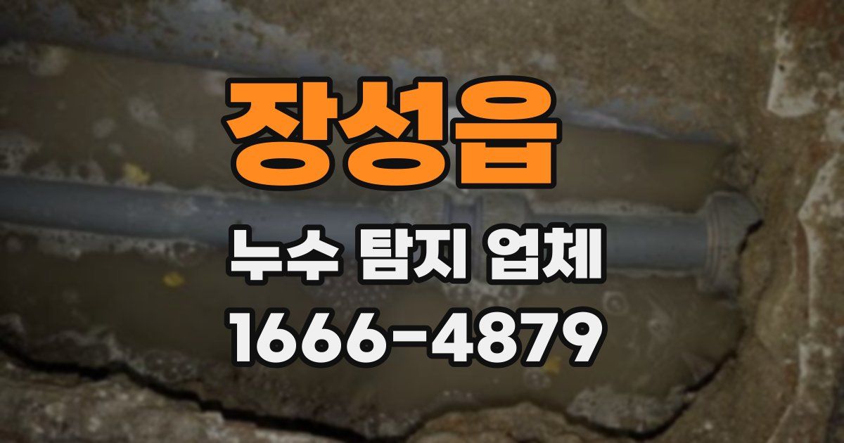 장성읍 누수 탐지 업체