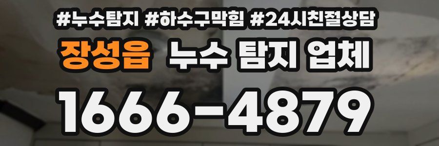 장성읍 누수 탐지 업체