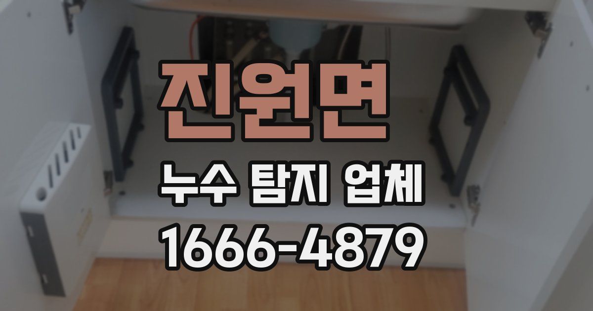 진원면 누수 탐지 업체