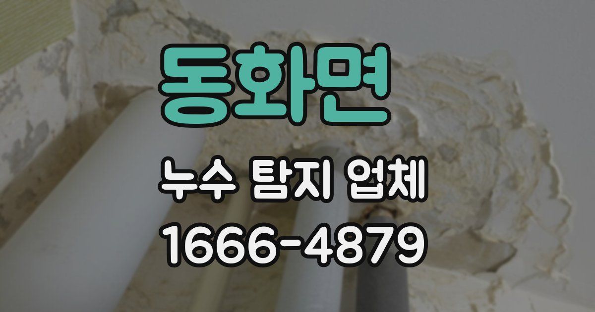 동화면 누수 탐지 업체