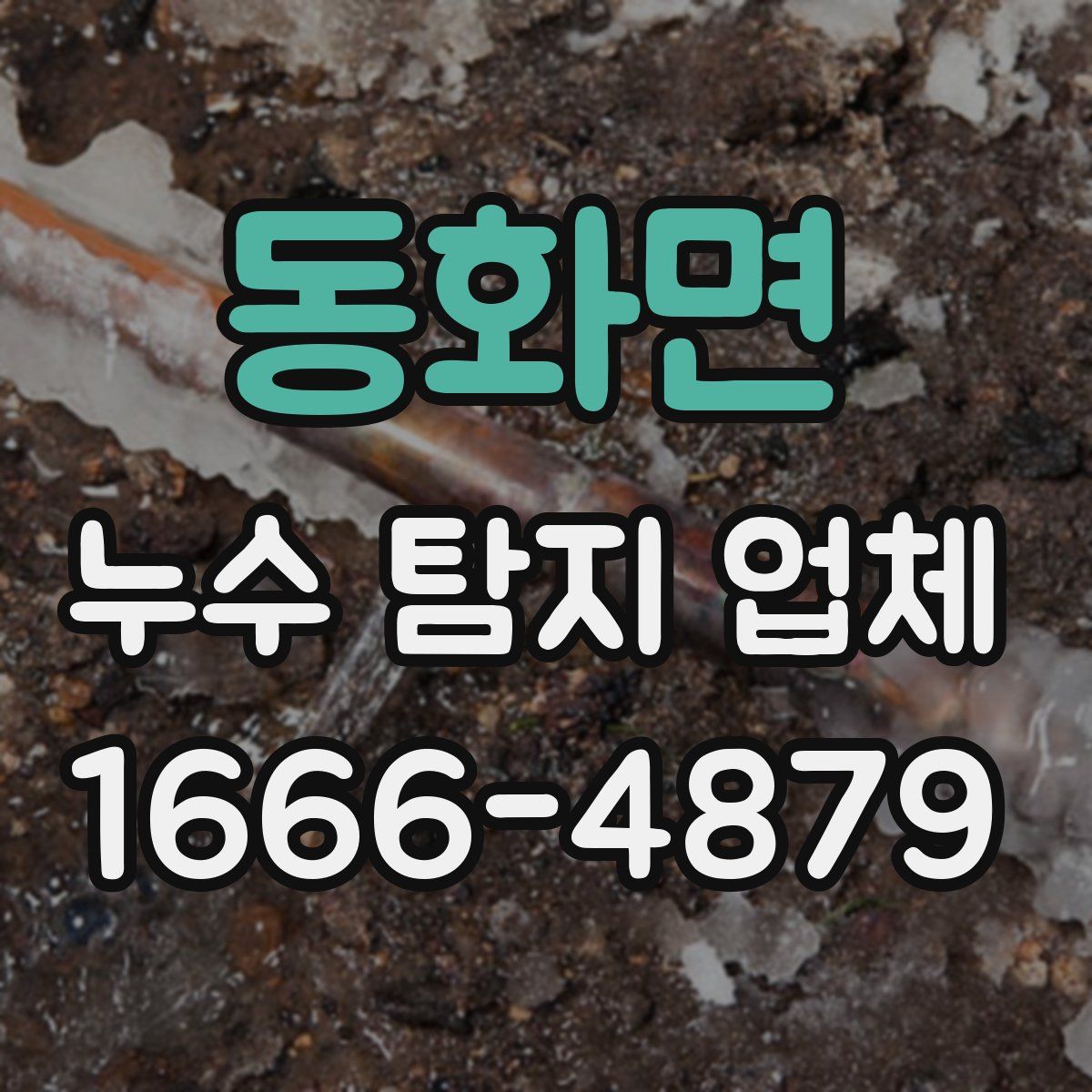 동화면 누수 탐지 업체