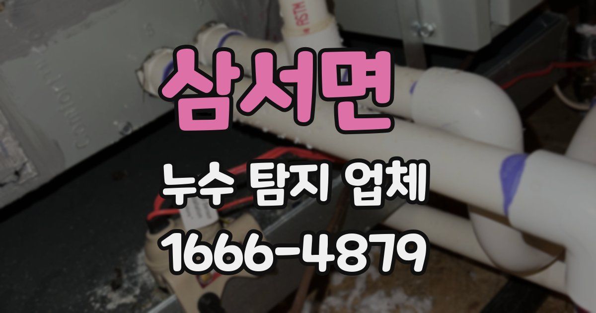 삼서면 누수 탐지 업체
