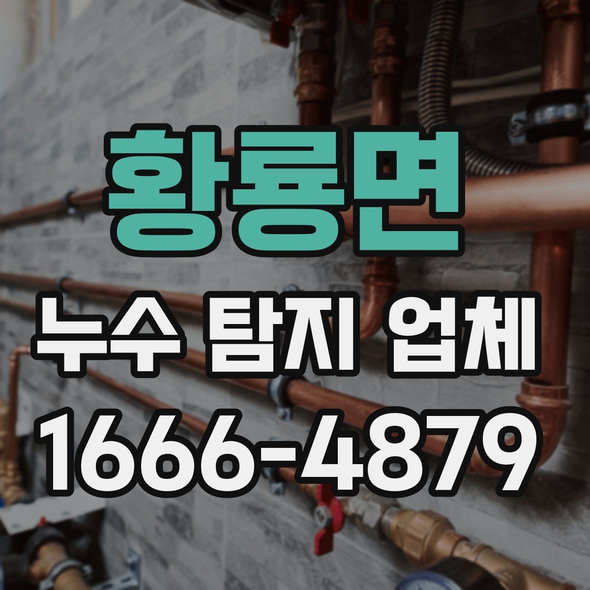 황룡면 누수 탐지 업체