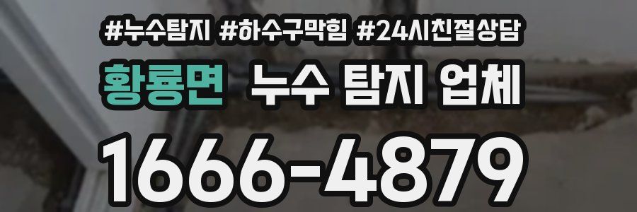 황룡면 누수 탐지 업체