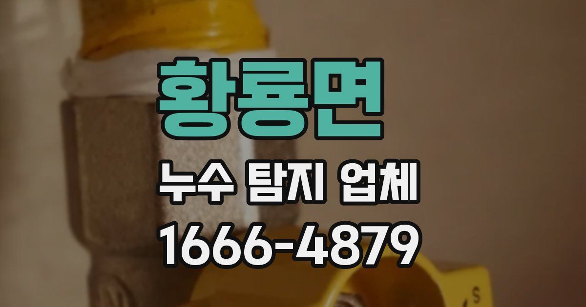 황룡면 누수 탐지 업체