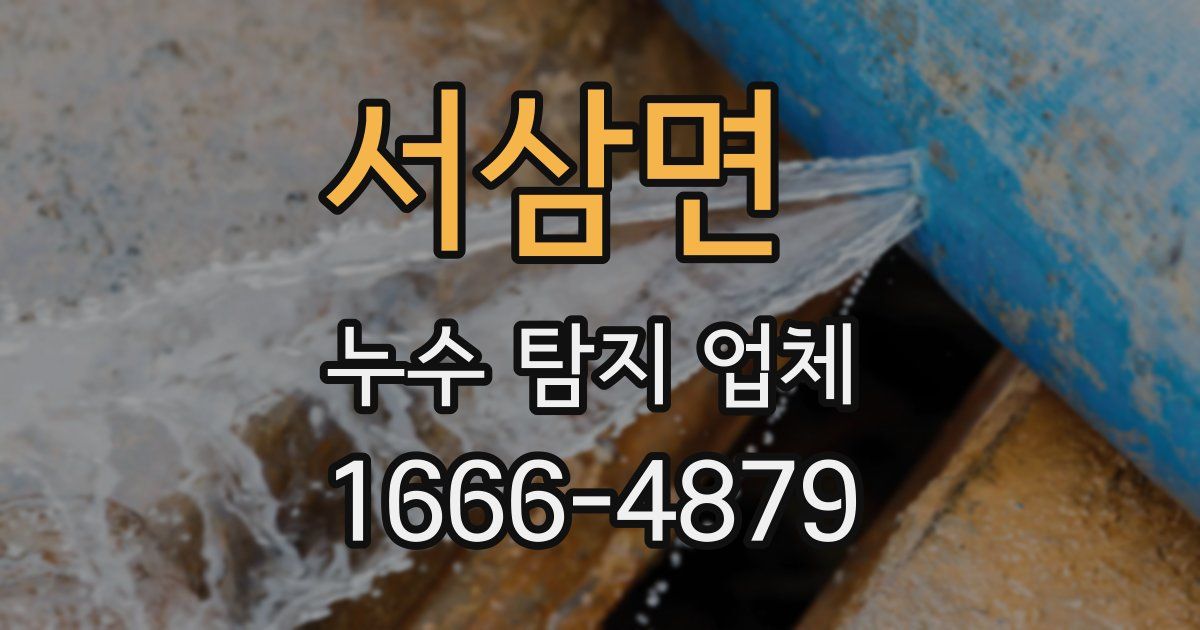 서삼면 누수 탐지 업체