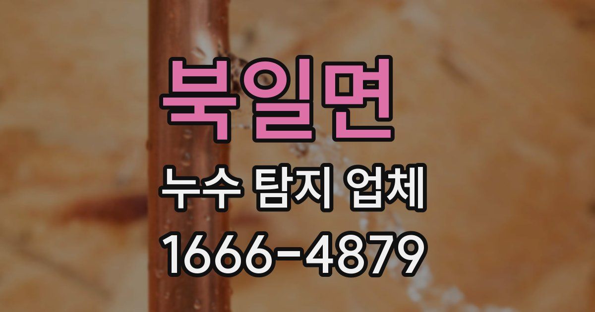 북일면 누수 탐지 업체