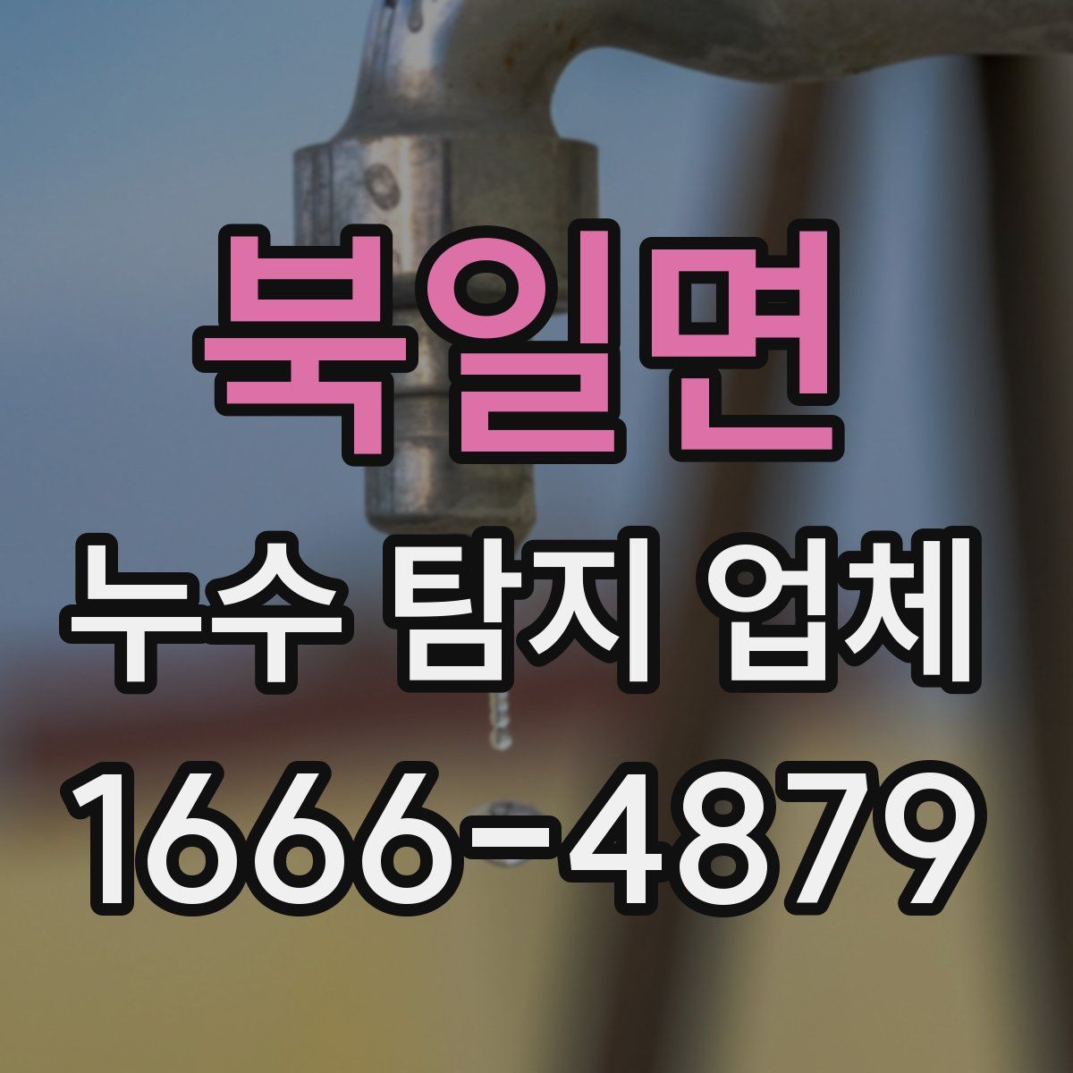 북일면 누수 탐지 업체