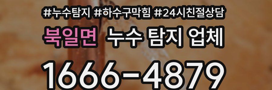 북일면 누수 탐지 업체