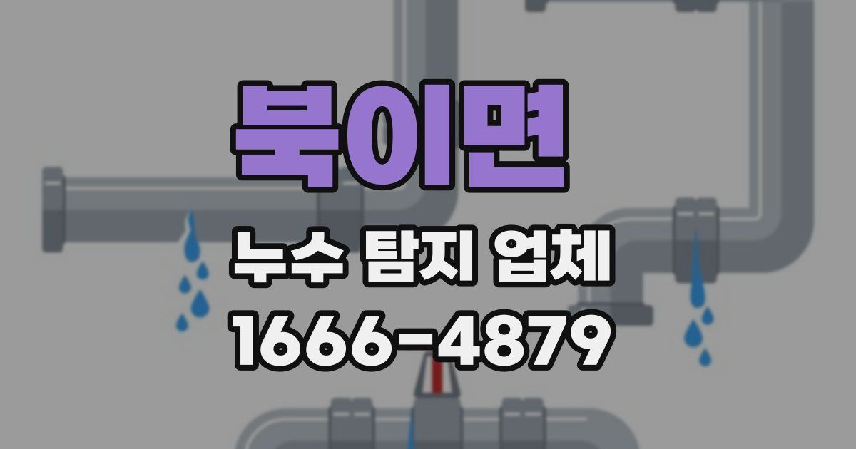 북이면 누수 탐지 업체