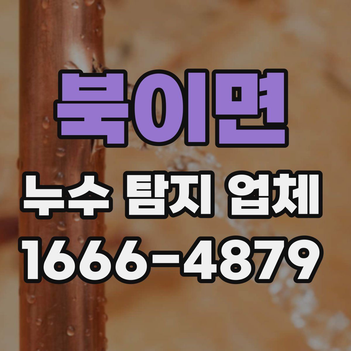 북이면 누수 탐지 업체