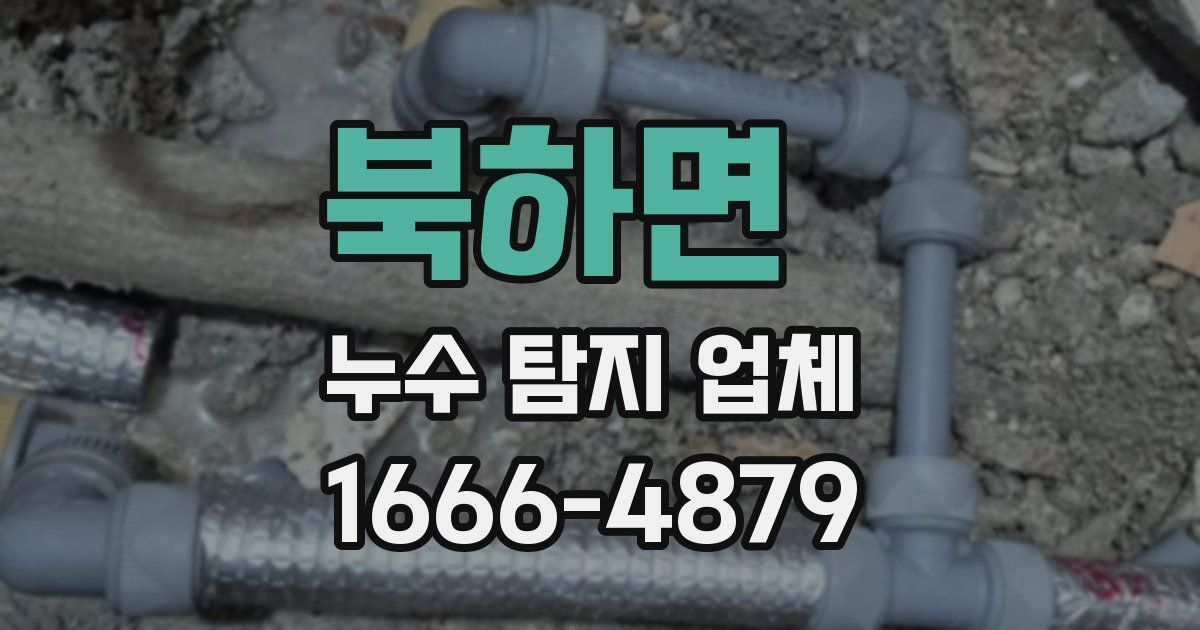 북하면 누수 탐지 업체