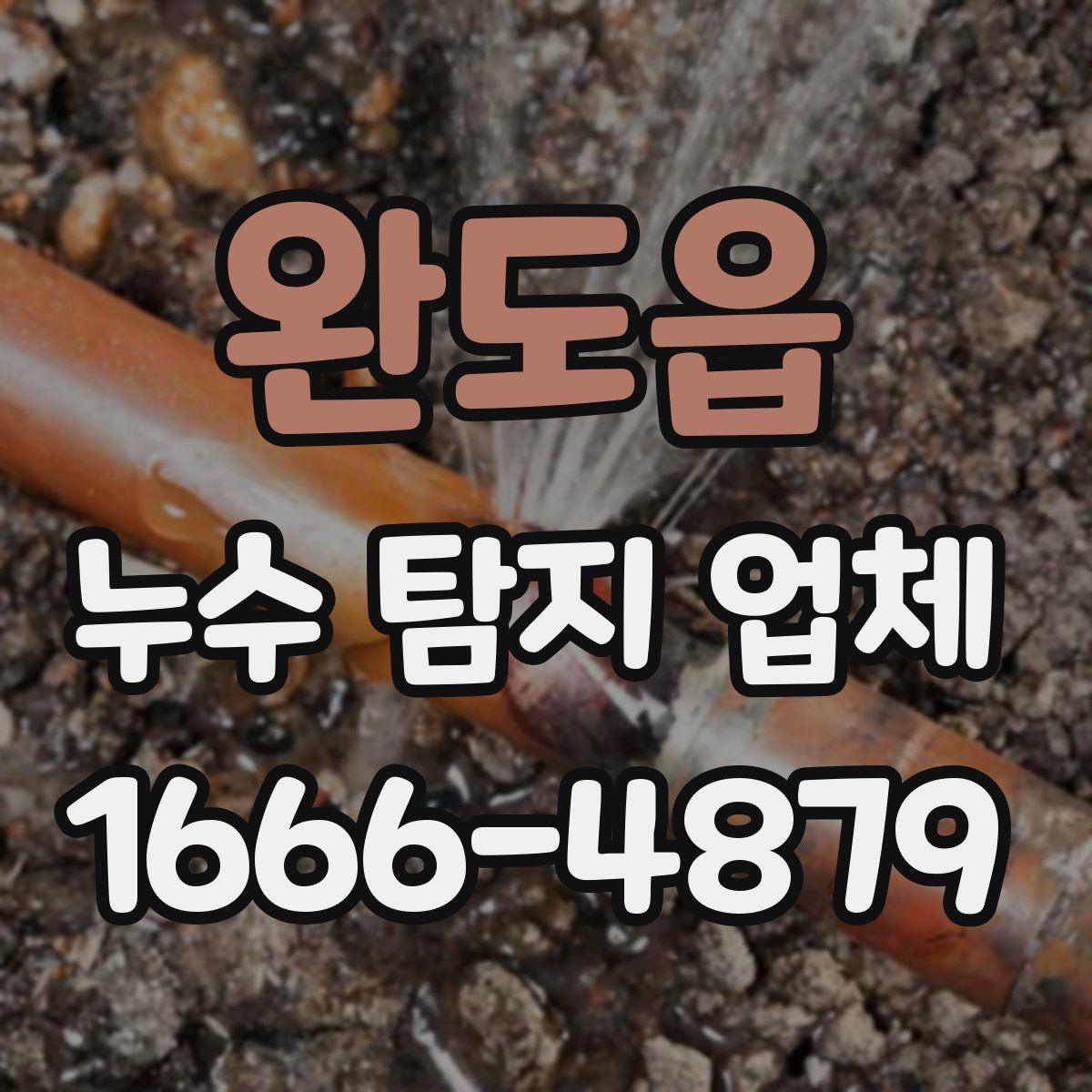 완도읍 누수 탐지 업체
