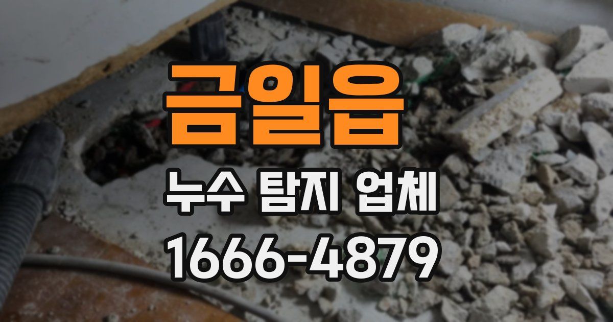 금일읍 누수 탐지 업체
