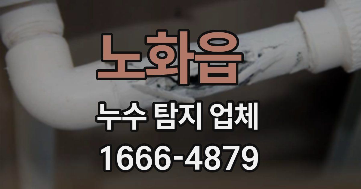 노화읍 누수 탐지 업체