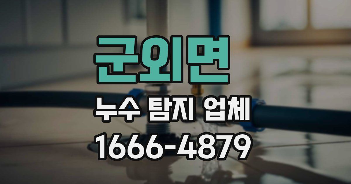 군외면 누수 탐지 업체